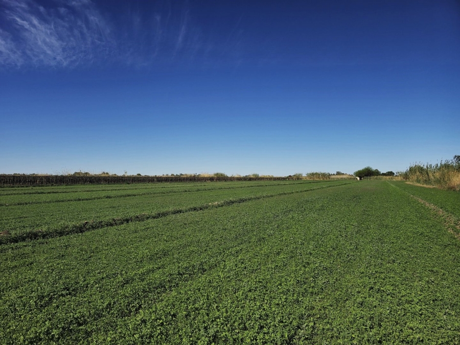 Commercial Property for Sale in Keimoes Rural Northern Cape